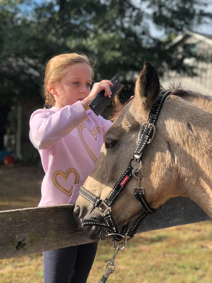 Magnolia Acres Farm